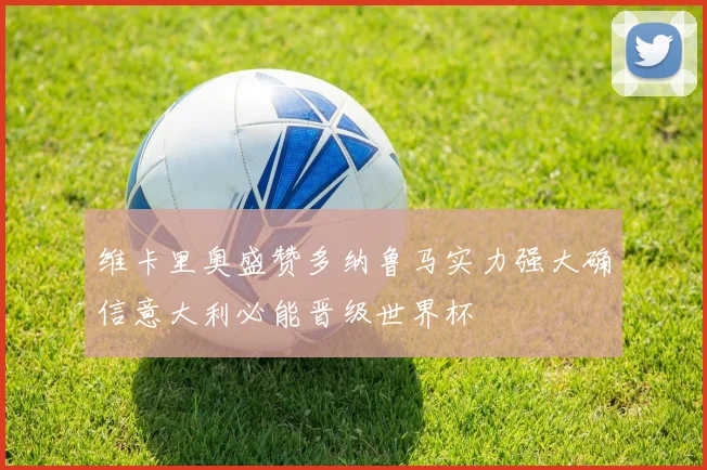 维卡里奥盛赞多纳鲁马实力强大确信意大利必能晋级世界杯