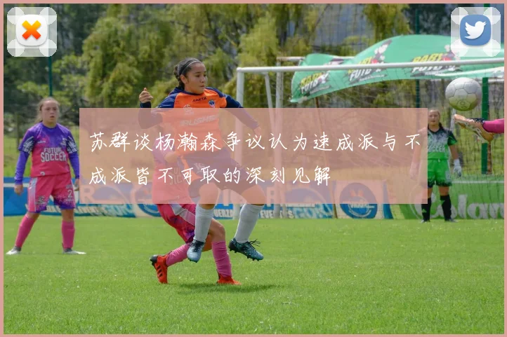 苏群谈杨瀚森争议认为速成派与不成派皆不可取的深刻见解
